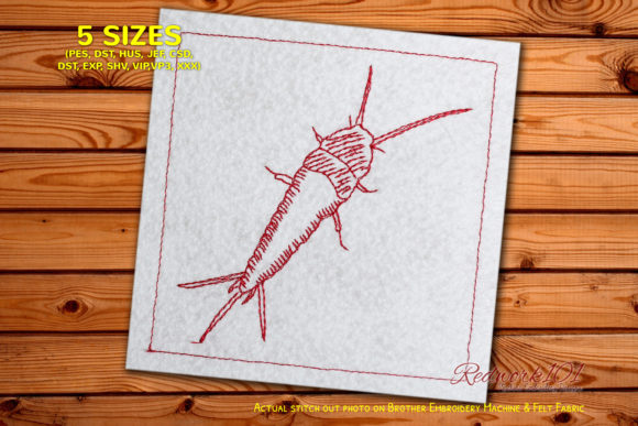 Common Apterygota: A Designer’s Review for Boutique Apparel